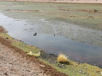 Atacama Wüste