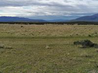 Nationalpark Torres del Paine