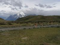 Nationalpark Torres del Paine