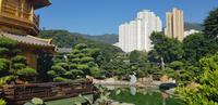 Stadtrundfahrt in Hong Kong - Nan Lian Garten und Chi Lin Nonnenkloster