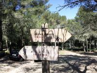 Castell d'Alaro
