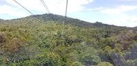 Gondelbahnfahrt - Cairns nach Kuranda