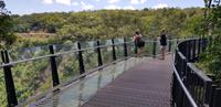 Gondelbahnfahrt - Cairns nach Kuranda - Barron Wasserfälle