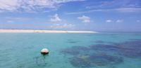 Schnorchel-Ausflug ins Great Barrier Reef - Michaelmas cay