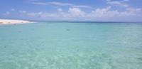 Schnorchel-Ausflug ins Great Barrier Reef - Michaelmas cay
