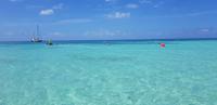 Schnorchel-Ausflug ins Great Barrier Reef - Michaelmas cay