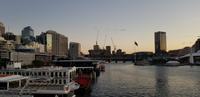 Sydney - Dinner Cruise