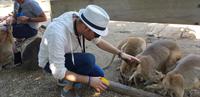 Besuch im Featherdale Wildlife Park
