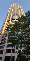 Besuch der O`Bar in Sydney