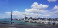 Stadtrundfahrt Auckland 