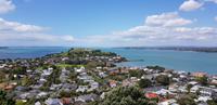Stadtrundfahrt Auckland - Mount Victoria in Devenport