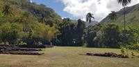 Inselrundfahrt auf Tahiti - Ausgrabungen von Arahurahu Marae