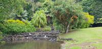 Inselrundfahrt auf Tahiti - Vaipahi Tropical Garden und Wasserfall