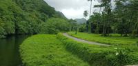 Inselrundfahrt auf Tahiti 