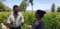 Weinverkostung im Concha Y Toro - Chile
