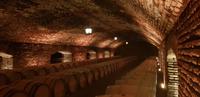 Weinverkostung im Concha Y Toro - Chile