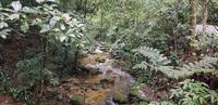 Rio de Janeiro - Jeep Safari in den Urbanen Regenwald