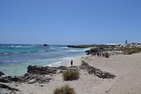 Tagesausflug auf die Rottnest Island