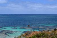 Tagesausflug auf die Rottnest Island