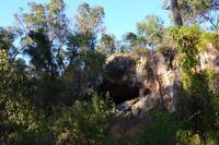 Yanchep-Nationalpark - Besuch bei den Koalas und Kängurus
