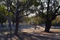 Yanchep-Nationalpark - Besuch bei den Koalas und Kängurus