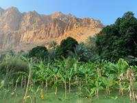 Wadi Tiwi