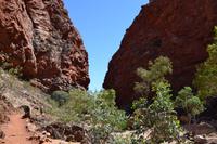 Fahrt durchs Outback - Simpsons Gap