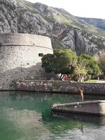 Kotor