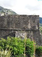 Kotor