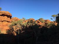 Wanderung zum Sonnenaufgang im Kings Canyon
