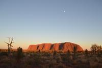 Sonnenaufgang am Uluru
