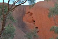 Rund um den Uluru
