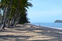 Erholungstag in Palm Cove