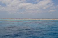 Tagesausflug zum Great Barrier Reef - Ankunft bei der Insel