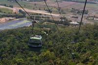 Mit der Seilbahn über die Dächer des Regenwalds nach Kuranda