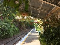 Mit der Eisenbahn durch die Barron Gorge zurück nach Cairns