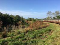 Mit der Eisenbahn durch die Barron Gorge zurück nach Cairns