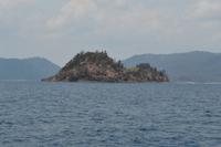 Tagesausflug mit dem Katamaran zu den Whitsunday Islands