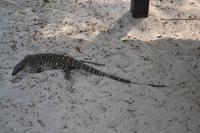 Tagesausflug mit dem Katamaran zu den Whitsunday Islands