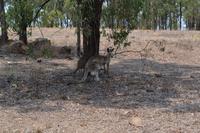 Ein Tag Erholung im Hidden Vale