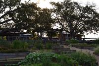 Ein Tag Erholung im Hidden Vale