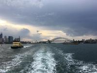 Rückfahrt nach Manly