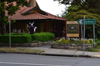 Tagesausflug in die Blue Mountains - Aufenthalt in Leura