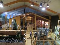 Matakohe Kauri Museum