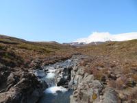 Wanderung - Taranaki Falls - Tama Lakes