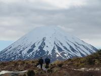 Wanderung - Taranaki Falls - Tama Lakes