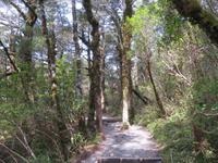 Wanderung - Taranaki Falls - Tama Lakes