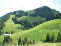 Auf dem Rigi