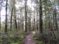 Te Anau - Keplertrek