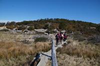 Über die Sümpfe muss man schmale Stege überqueren